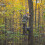 Hunter Safety System Rope-Style Tree Strap, Single, Multi, One Size 4