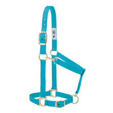 Weaver Equine Nylon Horse Halter, Average Horse, Padded & Adjustable, 1 in