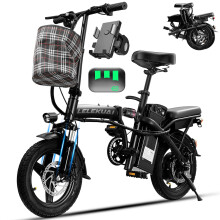 Electric Bike for Adults Teens, Commuting Folding ebike with 750W Motor and 48V Battery, 24MPH 3 Level Pedals Assist, Dual Disc Brakes,14" Compact Fol