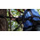 Hunter Safety Systems Lineman's Climbing Rope 4