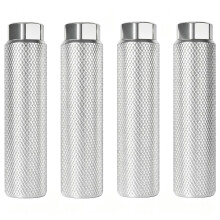 Zelerdo 2 Pairs Aluminum Alloy Bike Pegs for Mountain Bike Cycling Rear Stunt Pegs Fit 3/8 inch Axles (Pure Silver, 100x28 mm)