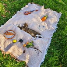 Zyntrytong 70"x 70" Picnic Blanket Extra Large,Layer Outdoor Blanket for 5 to 7 Adults,Camping Grass Lawn Park Accessories Cute Couple Gifts Ideas Wed