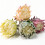 Homescapes Artificial Protea Stems, Set of 4, Multi-Colour (64cm) 3
