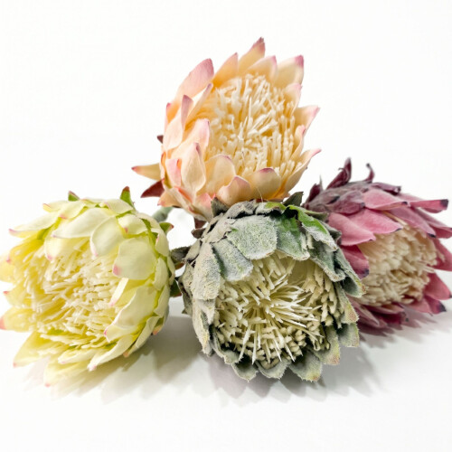 Homescapes Artificial Protea Stems, Set of 4, Multi-Colour (64cm) 2