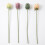 Homescapes Artificial Protea Stems, Set of 4, Multi-Colour (64cm) 4
