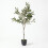 Homescapes Artificial Potted Olive Tree with Moss, Green (100cm) 1