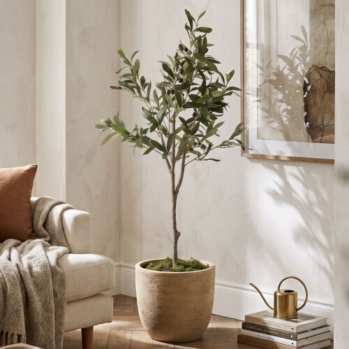 Homescapes Artificial Potted Olive Tree with Moss, Green (100cm) 1