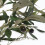Homescapes Artificial Potted Olive Tree with Moss, Green (100cm) 4