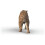 Schleich Schleich Dinosaurs 15054 Smilodon Figure 2