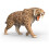 Schleich Schleich Dinosaurs 15054 Smilodon Figure 4
