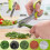 Cive, Spice Scissors, Garlic Scissors, 5 Blade Scissors Herb Scissors Kitchen Scissors Food Scissors Multifunctional Kitchen Scissors S 4