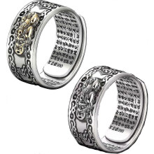 Feng Shui Pixiu Mantra-ring, buddhistisk lykke-amulettmantra dobbel beskyttelse Anillo Pixiu-ring gave til menn og kvi