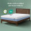 Zinus 8 Inch Full Cooling Essential Memory Foam Mattress, Medium Feel 5