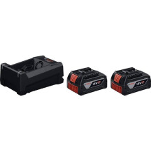 Bosch Professional 1.600.A03.CH1 2xGBA18V 5.0Ah, GAL12V/18 Batterij voor 18 V gereedschap