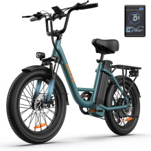 Urlife E20 Elektrofahrrad, 7-Gang-Schaltung, 48V 13Ah Akku, 20x3 Zoll Fat Tires, Vert