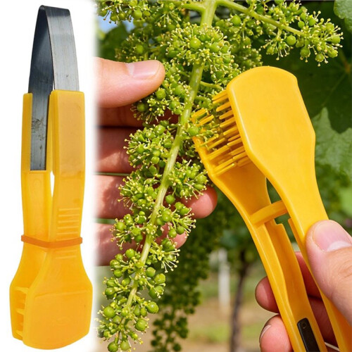 5PCS Grape Pruning Tool, Fruit Thinning Comb, Handheld Grape Cluster Trimmer, Fruit Picker Gardening Accessories 1