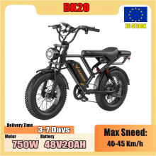 HEADER BK20 elektrische fiets, 750W motor, 48V20AH accu, dubbele schijfremmen, 20 inch brede banden, terrein