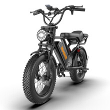 HEADEER BK20 Elektrofahrrad, 750W Motor, 48V 20Ah Akku, 20x4 Zoll Fat Tire, Doppelbremsen, 80 km Reichweite
