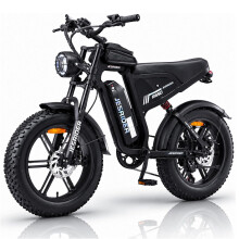 JESRIDER G650 Electric Bike, 250W, 20Ah Battery