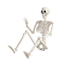 1 Pack 36" Halloween Party Skeleton Decoration, Human Bones, Movable Joints, for Haunted House, Lawn, Graveyard Props