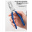 Multi-Functional Clamp Pliers - Model Assembly Helper, Holding Tool for Crafts, Electronics, and DIY Projects 4