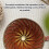 Pour over Coffee Maker & Ceramic Dripper, 1-4 Cup V60Filter Cone, Hand Brewed Cone for Home, Camping Rust Red 5