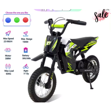 RCB R9X Kids Electric Motorbike 300W, 36V Battery, 3 Speeds, 12-Inch Tyres