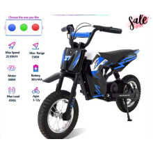 RCB R9X Kids Electric Motorbike 300W, 36V Battery, 3 Speeds, 12-Inch Tyres