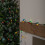 Samuel Alexander 12m 120 LED Multi-Action Christmas String Lights in Multi-Coloured 3