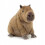 Peluche a forma di capibara per bambini, 40 cm, 2025 1