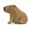 Peluche a forma di capibara per bambini, 40 cm, 2025 4