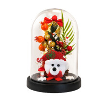 Copertura in vetro per regalo di Natale, piccola luce notturna ornamentale, decorazione per albero di Natale, micro paesaggio