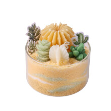 Candele fai da te con profumo di piante grasse, piante da interno e cactus di sabbia.