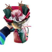 Weihnachtsgeschenk für die beste Freundin: Handgemachter Apfelstrauß, DIY-Materialpaket, Heiligabend