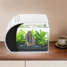 Glas-Aquarium, 19 l, mit LED-Beleuchtung und Tauchpumpe, für kleine Fische und Garnelen