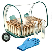 Tragbare, Faltbare Pilzzuchtbox mit Statischer Luftzirkulation, Inklusive Handschuhen und Flasche