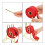 2 Pack Raffle Ticket Dispenser, Ticket Holder, Sticker Roll Holder Ruffle Drum for Single Double Roll Tickets 5