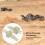 Wltoys Differential m. Lager 284010 4