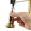 Gold Pull Down Kitchen Faucet - 304 Stainless Steel Spring Design with WRAS, 43cm 6