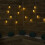 Premier Set of 20 Pine Cone Christmas String Lights with 80 Warm White LEDs 4