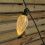Premier Set of 20 Pine Cone Christmas String Lights with 80 Warm White LEDs 5