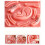 3D Silicone Skin Suture Training Model,Reusable Suture Practice Pad for Students, Nurses, and Surgeons 6