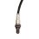 ED8A-9G444-BB Autozuurstofsensor Rechtsachter voor  Escort 1.5L 2014-2019 5