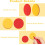300pcs Two Colours Plastic Counters with Box, Double Sided Counters 4