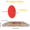300pcs Two Colours Plastic Counters with Box, Double Sided Counters 3