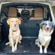 Hundegitter Auto 120 x 70 cm, verstellbares Schutznetz für Kofferraum und Fond, kratzfestes Trennnetz für PKW