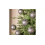Pack of 6 Black Leopard Print Christmas Baubles 1