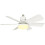 Modern Quiet Ceiling Fan with Light. Features 6 speed levels, timing function and stepless dimming 1