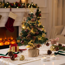 60cm Mini LED Lighted Artificial Christmas Tree