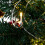 Living And Home 60cm Mini LED Lighted Artificial Christmas Tree 5